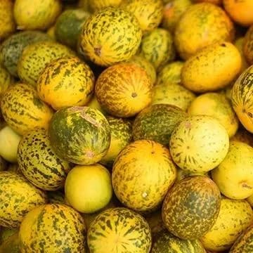 Dosakaya (Yellow Cucumber)