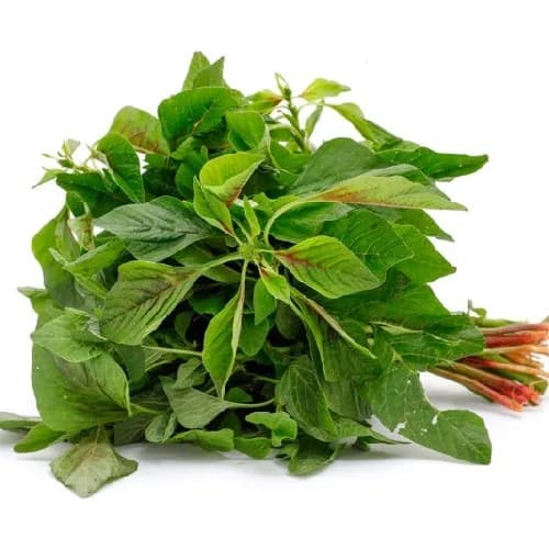 Thotakura (Amaranth)
