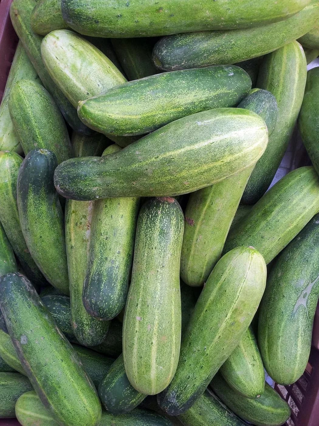 Local Cucumber (Keera)