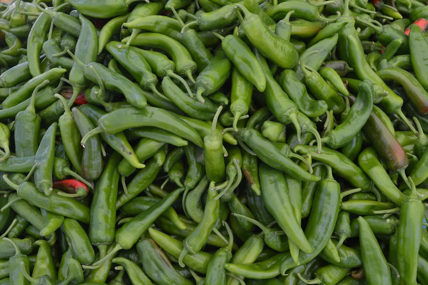 Green Chilli